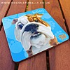 Bulldog Fun Gift Coaster